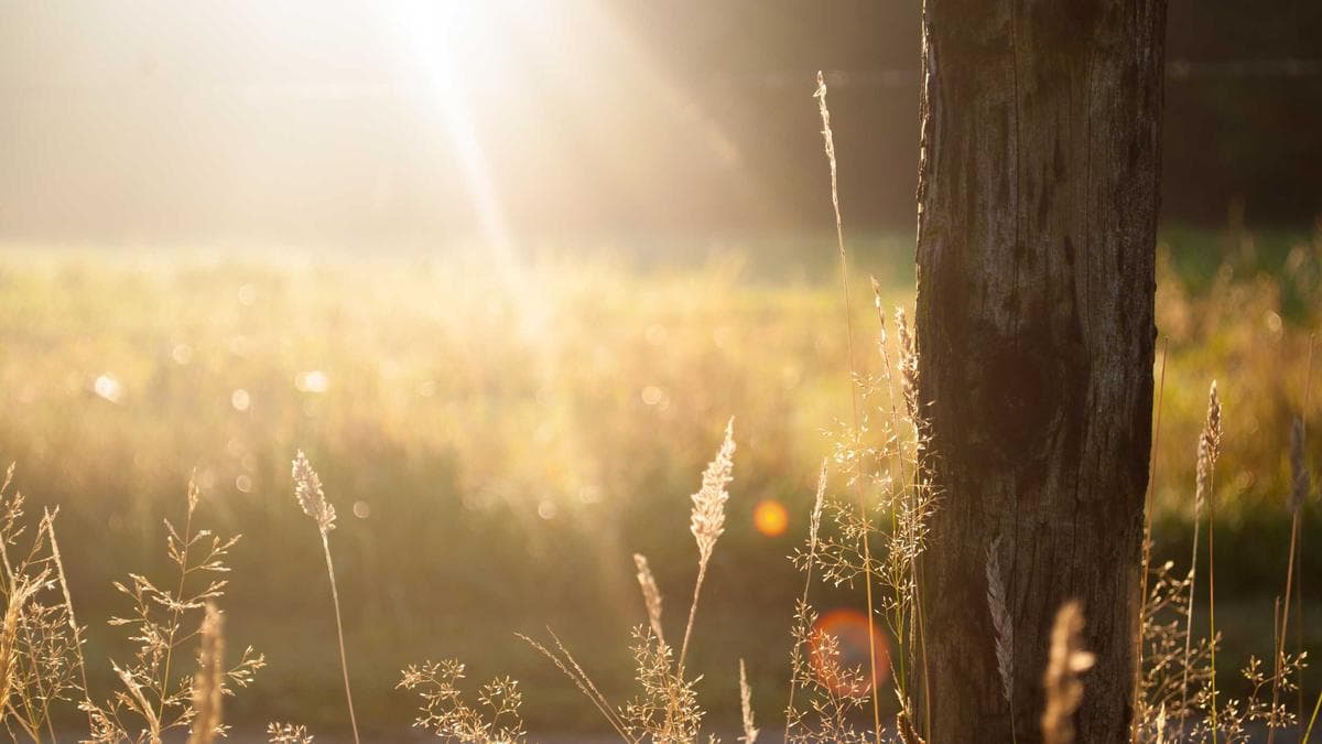 Placeholder image for umbrella MOT campaign article